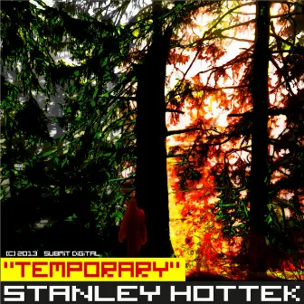 Temporary by Stanley Hottek