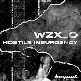 HOSTILE INSURGENCY by WZX_O