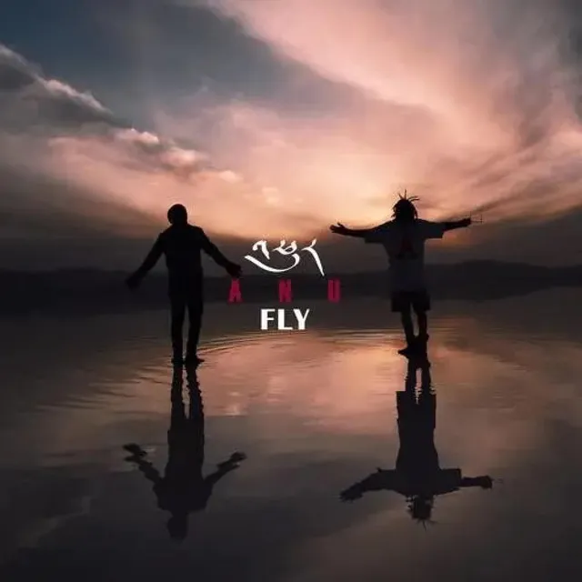 Fly