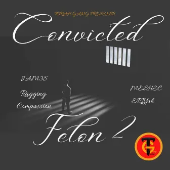 Convicted Felon 2 by Conscious kingdom music