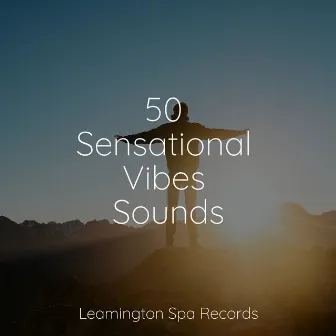 50 Sensational Vibes Sounds by Meditation Music Experience