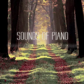 Sounds of Piano (Works of Glass, Einaudi, Richter & Woodapple) by Out of Berlin