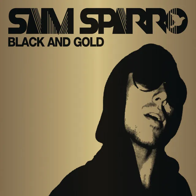 Black & Gold - Sanna & Pitron Mix