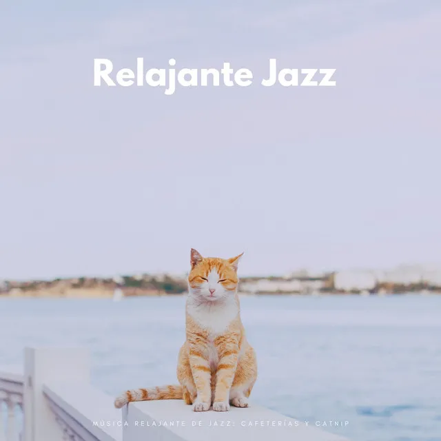 Música Relajante De Jazz: Cafeterías Y Catnip