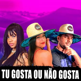 Tu Gosta ou Não Gosta by Jullie Do Piseiro e Dj Dm