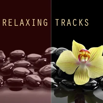 Relaxing Tracks - For Meditation, Relaxation, Reiki, Yoga, Massage, Spa Therapy and Deep Sleep by Unknown Artist