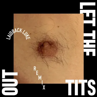 Let The Tits Out (Laidback Luke Remix) by De Jeugd Van Tegenwoordig