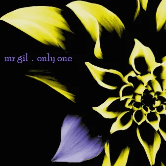 Only one by Mr Gil