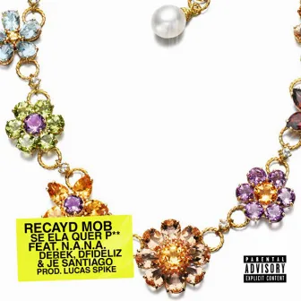 Se Ela quer P** by Recayd Mob