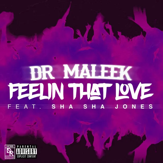 Feelin' That Love (feat. Sha Sha Jones)