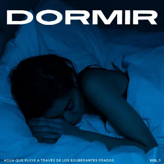 Dormir: Agua Que Fluye A Través De Los Exuberantes Prados Vol. 1 by Dormir dormir dormir