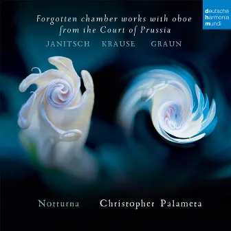 Trio Sonata in D Minor, ICK 7/II. Allegro by Christian Gottfried Krause