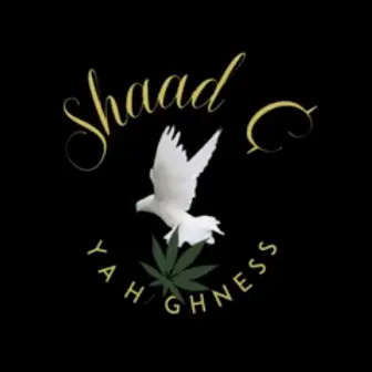 Uber Narcotics by Shaad Cya Highness