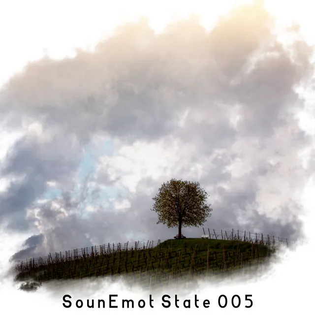 Sounemot State 005 - Mixed by SounEmot