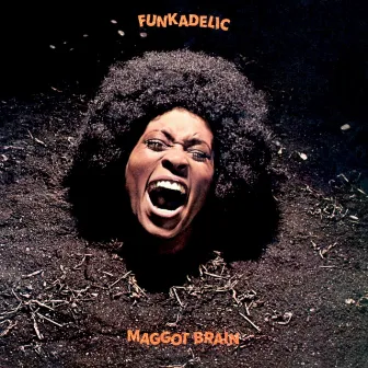 Maggot Brain by Funkadelic