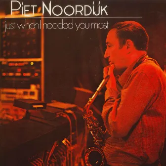 Just When I Needed You Most by Piet Noordijk