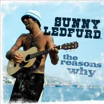 The Reasons Why by Sunny Ledfurd