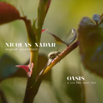 Oasis (Original Soundtrack) by Nicolas Nadar