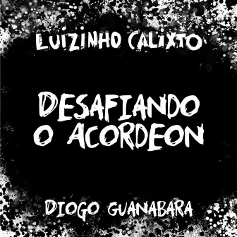 Desafiando o Acordeon by Luizinho Calixto