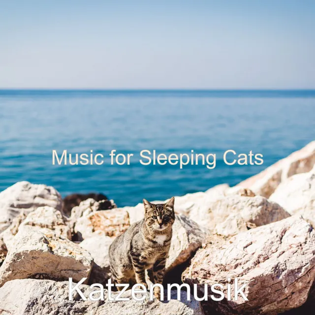 Music for Sleeping Cats