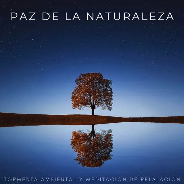 Meditación De La Naturaleza Bajo La Lluvia