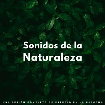 Sonidos De La Naturaleza: Una Sesión Completa De Estudio En La Cascada by Sonidos de Cascada