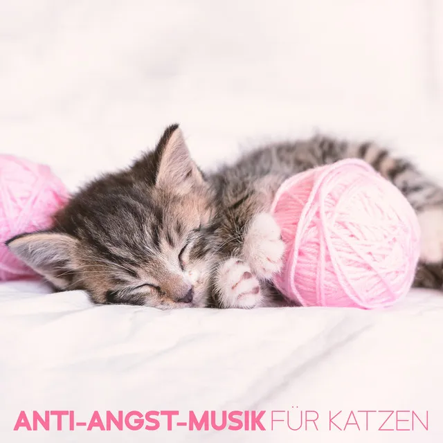 Anti-Angst-Musik für Katzen – Lindert Katzenstress, Haustiertherapie, Beruhigenden Schlaf, Beruhigt