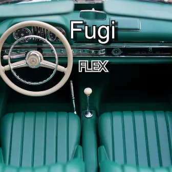 Flex by Fugi