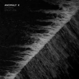 Dynamic by Anomaly X