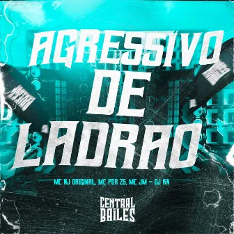 Agressivo De Ladrão by MC PDR ZS