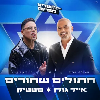 חתולים שחורים by Static