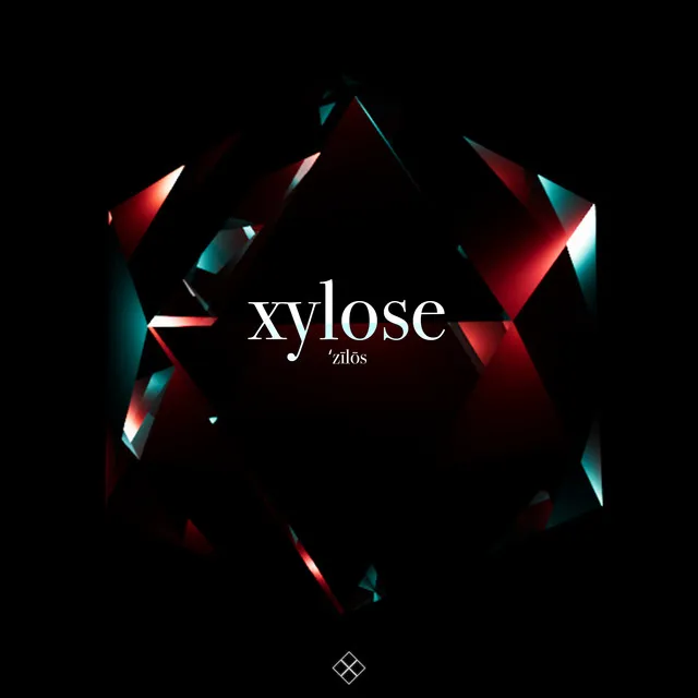 XYLOSE - Vocal Mix