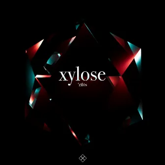 XYLOSE by Stuckinmymind