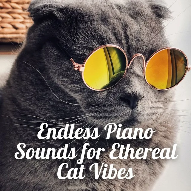 Dreamy Piano Whiskers