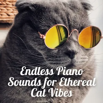 Endless Piano Sounds for Ethereal Cat Vibes by Ultimate Piano Relaxation