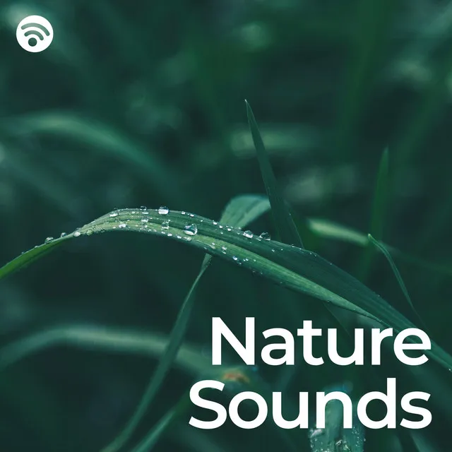 Nature Sounds: Noises for Relax and Sleep