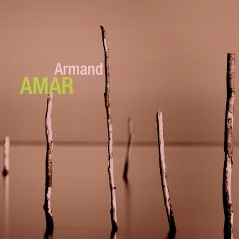 Retrospective by Armand Amar