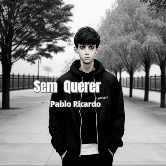 Sem Querer by Pablo Ricardo