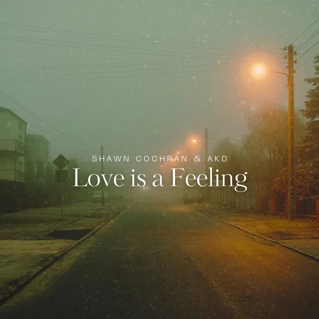 Love is a Feeling