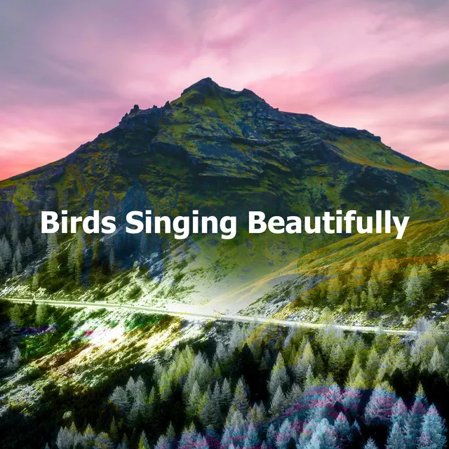 Birds Singing Beautifully