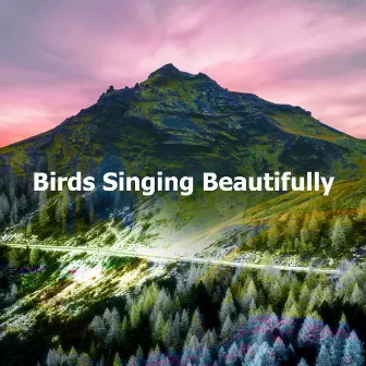 Birds Singing Beautifully by Unknown Artist