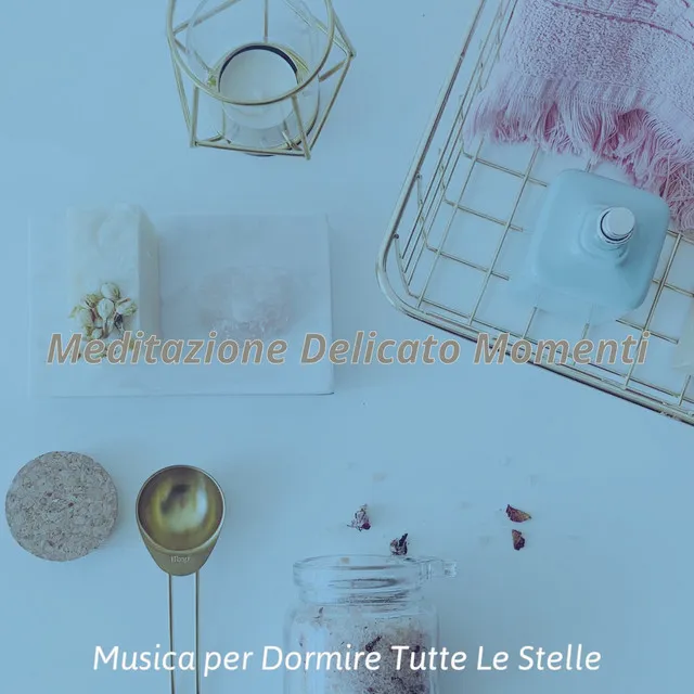 Meditazione Delicato Momenti