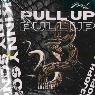 Pull Up by Skinny Sonik