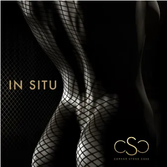 Corner Stone Cues Presents: In Situ by Corner Stone Cues