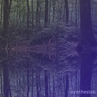 Synthesize by Frames