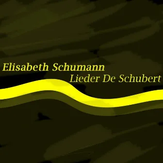 Schubert: Lieder de Schubert by Leo Rosenek