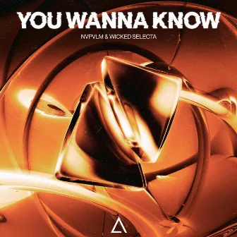 You Wanna Know by NVPVLM