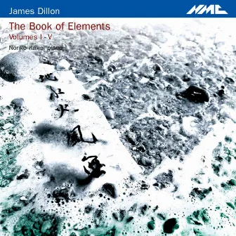 Dillon: The Book of Elements, Vols. 1-4 by James Dillon