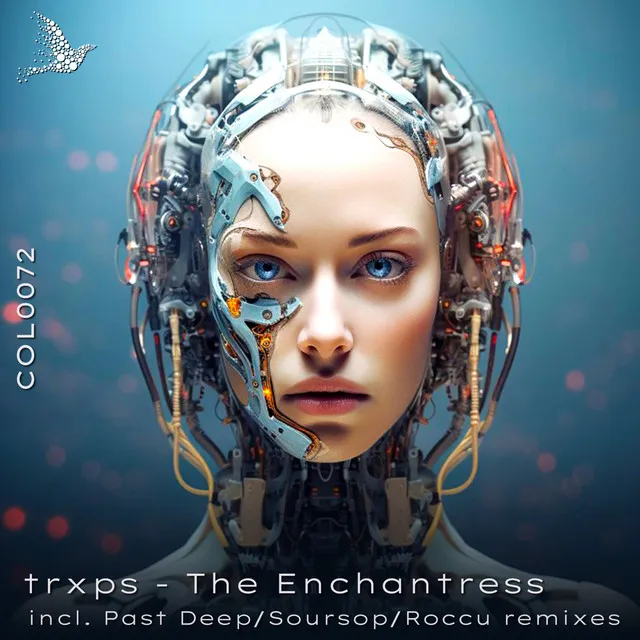 The Enchantress - Roccu Remix