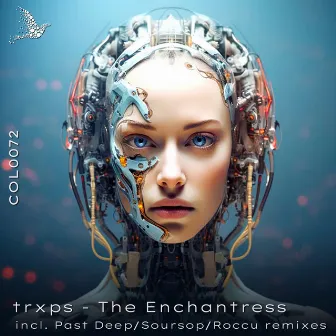 The Enchantress Remixes, Pt. 2 by trxps